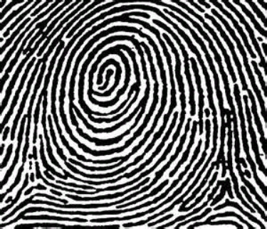 Fingerprint from a Jew